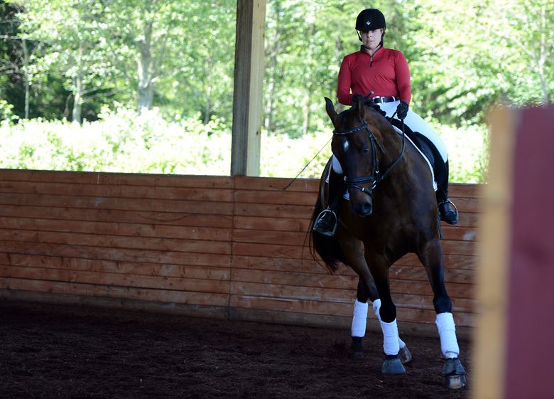 Horse Riding Lessons